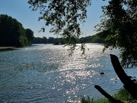 20250709 092109 site atp